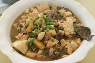 鲶鱼炖豆腐-鲶鱼炖豆腐是哪个地方的菜？