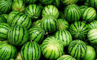 （生活妙招）在夏天如何挑选好吃的西瓜？